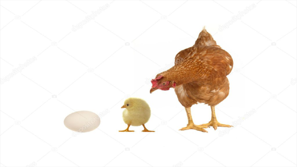 Những cặp số may mắn khác từ giấc mơ thấy gà đẻ trứng bạn có thể tham khảo:
